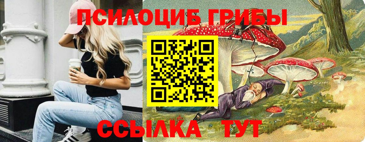 Люберцы  Псилоцибиновые грибы GOLDEN TEACHER  Галлюциногенные грибы Magic Shrooms  Вход с VPN 